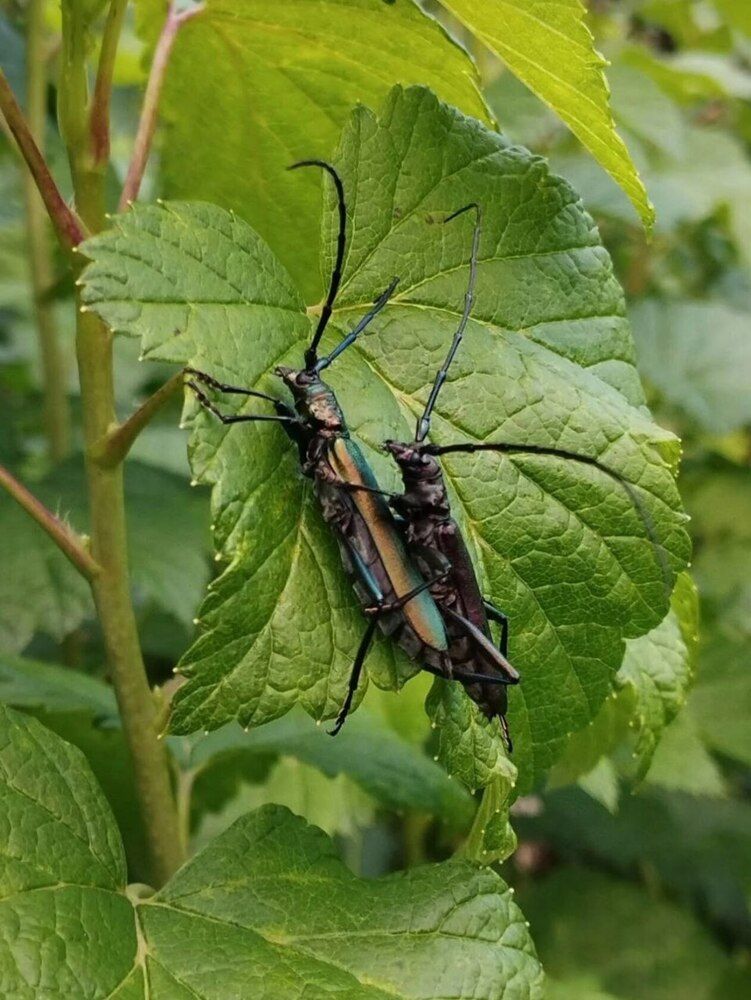 Фотография автора Ия Дирко