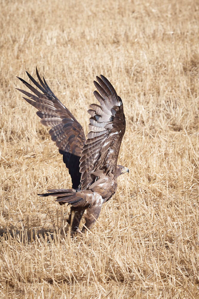 Photograph by Сергей Фадин