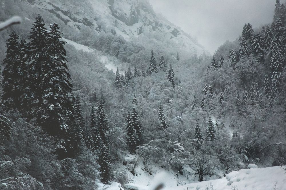 Photograph by Владимир Степнёв