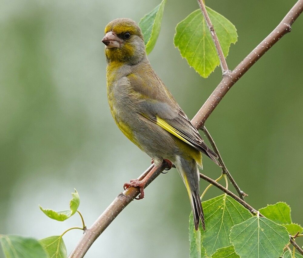 Photograph by Zakharov Matvey