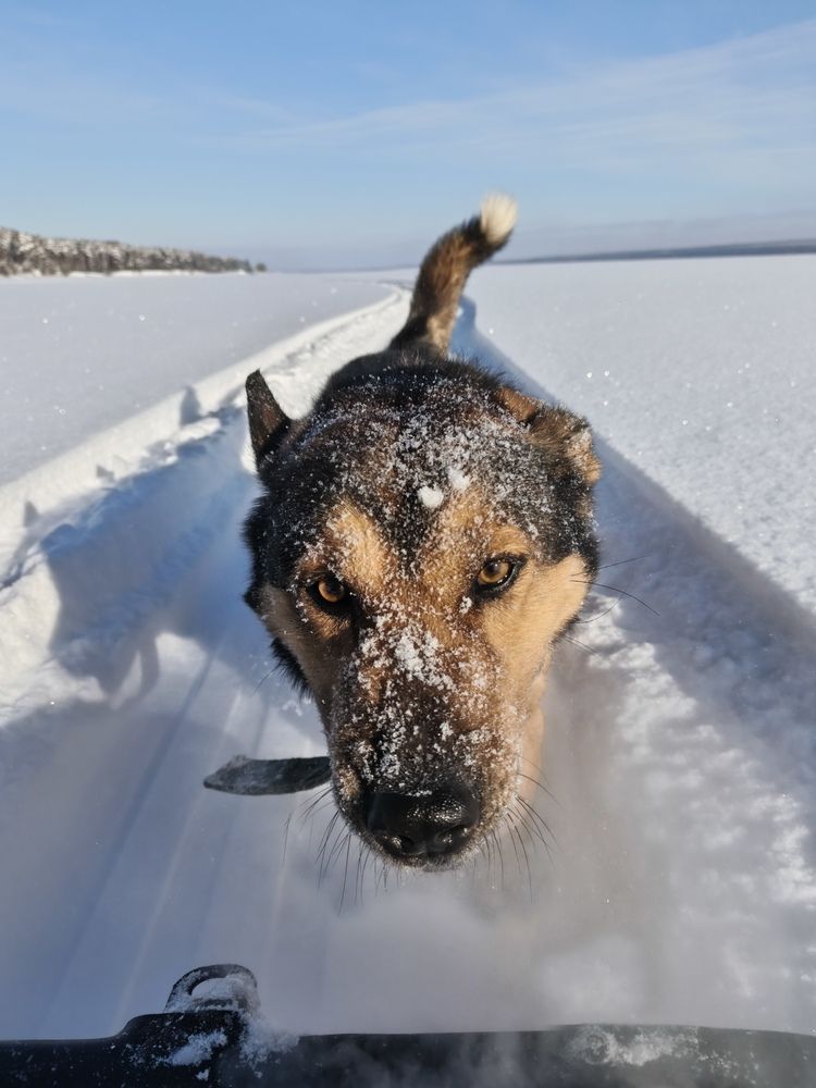 Photograph by Татьяна Пятернёва