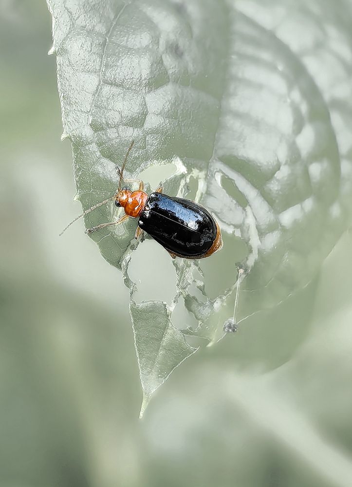 Photograph by Кристина Феминова