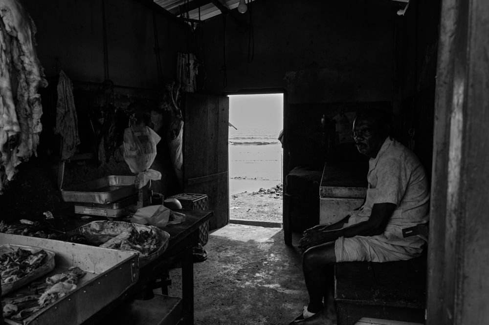 Photograph by Pouyan Safavi