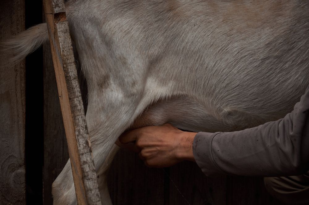 Photo #13252341