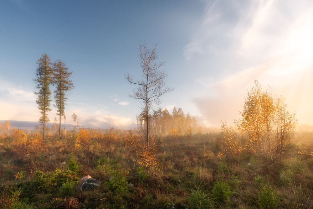 Photograph by Romus Ramström