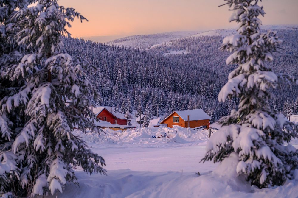 Photograph by levi bagy
