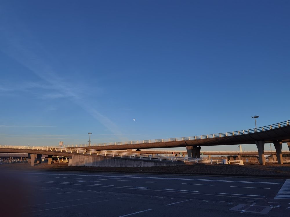 Photograph by Plesa Ioan Dan