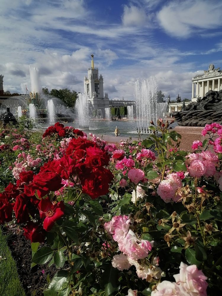 Photograph by Анжелика