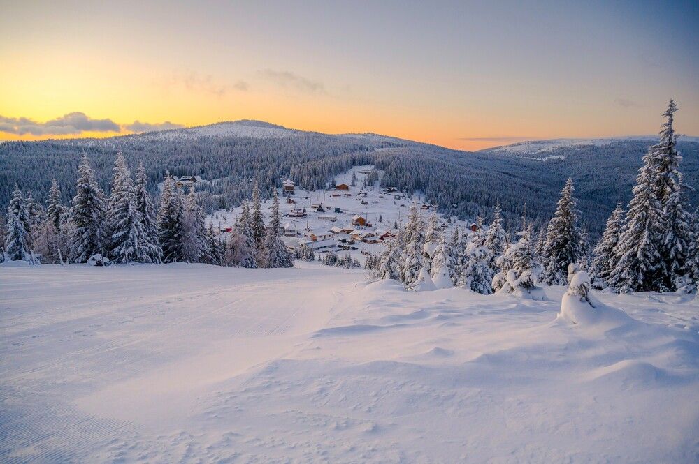 Photograph by levi bagy