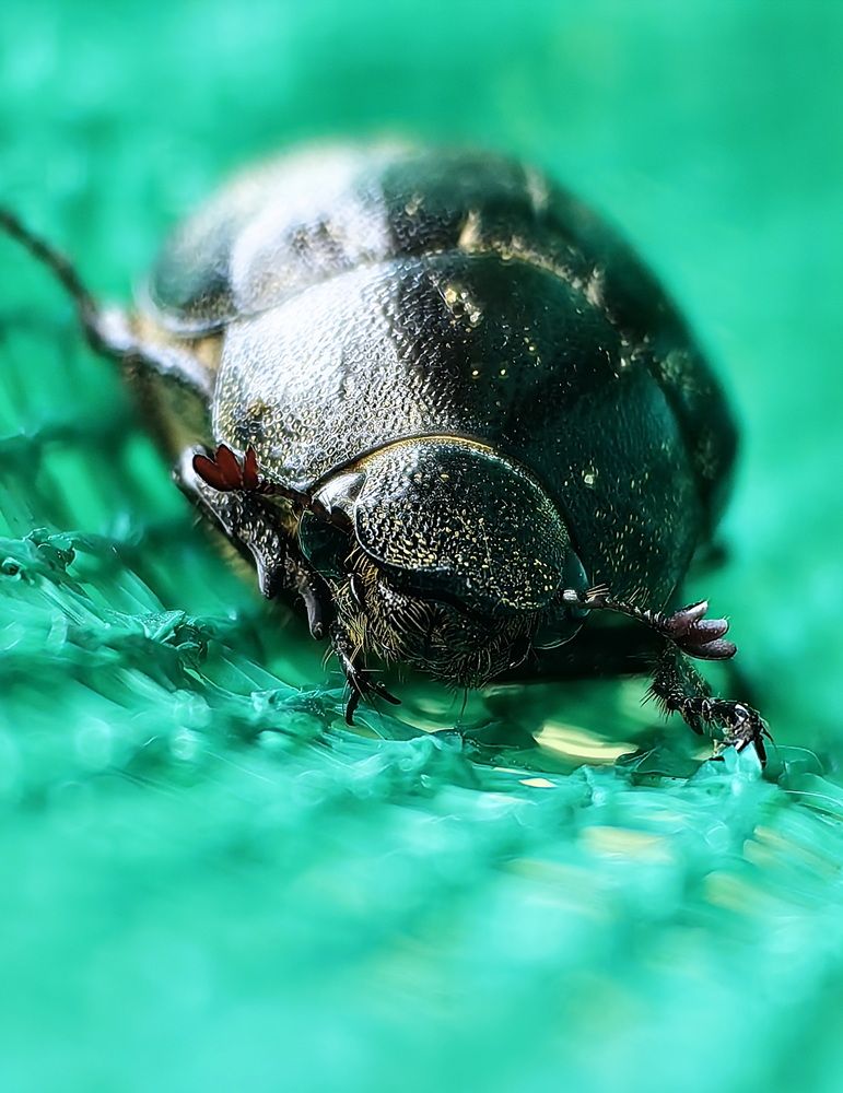 Photograph by Кристина Феминова