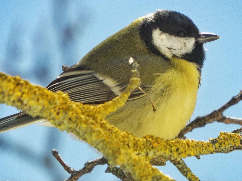 Photograph by Pakhomov Ilya