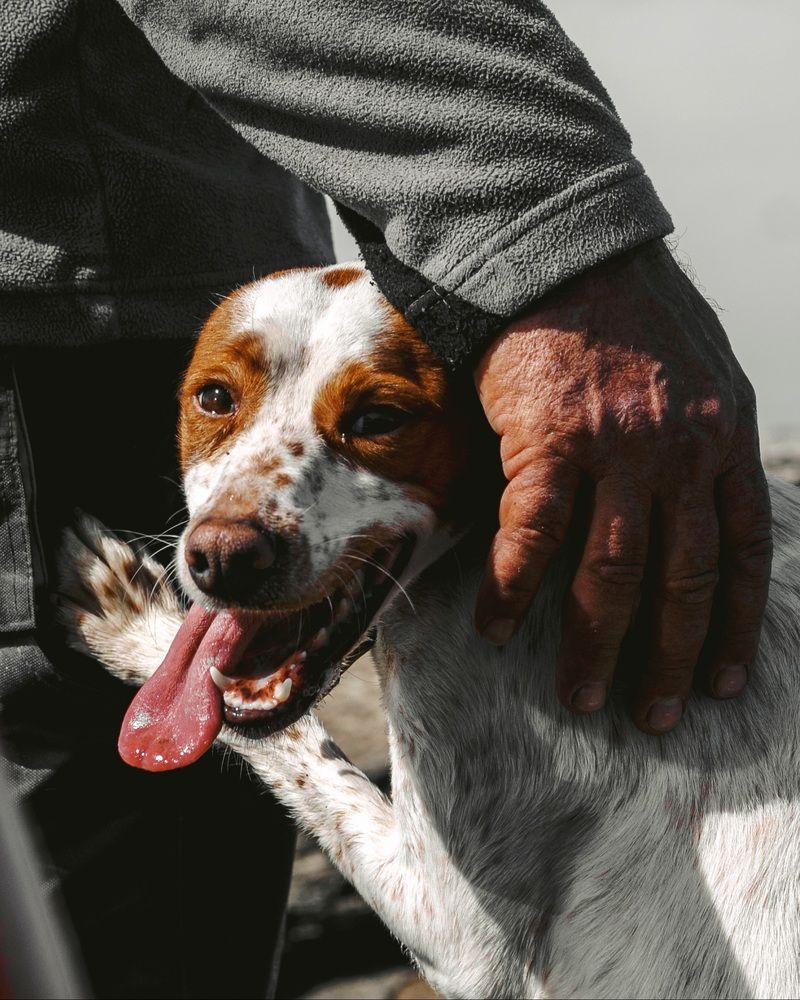 Photograph by Alexandra Sergeeva