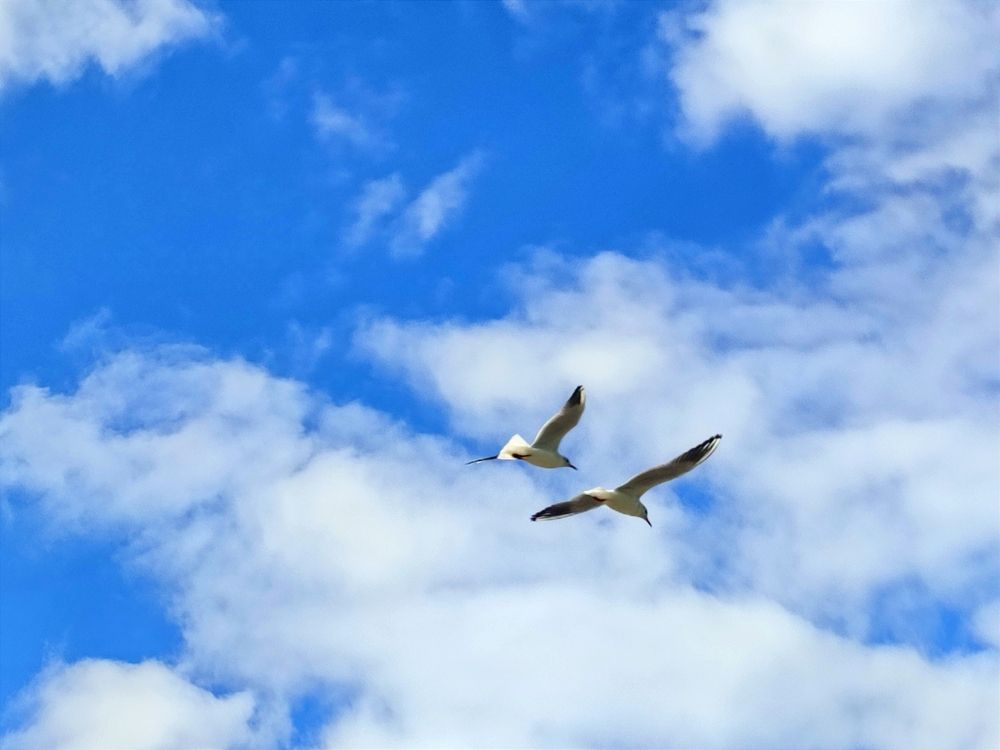 Photograph by Ирина Строкова