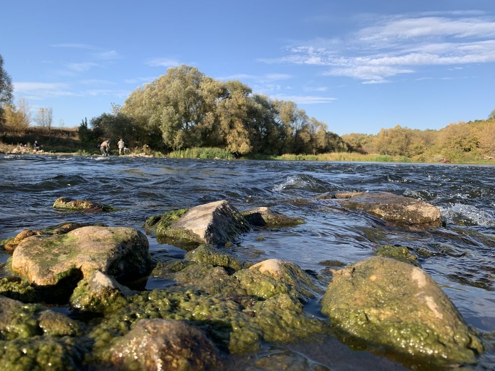 Photograph by Игорь Ребров