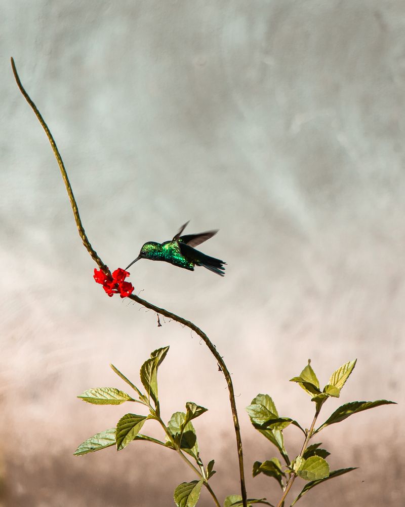 Photograph by Michell Brit