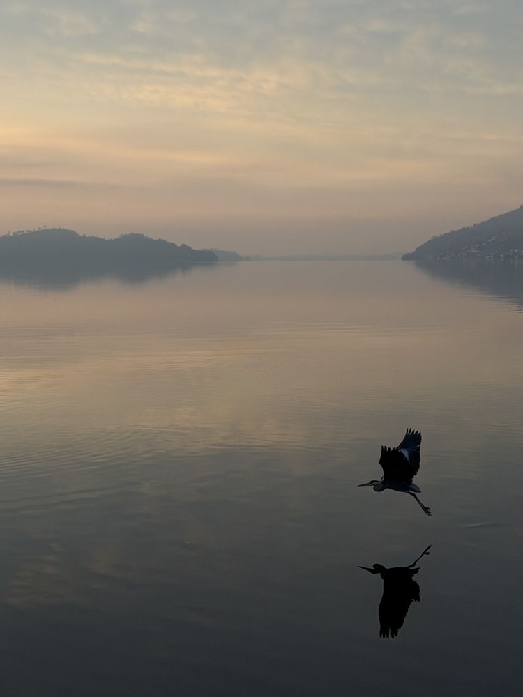 Photograph by Tanja Gutjahr