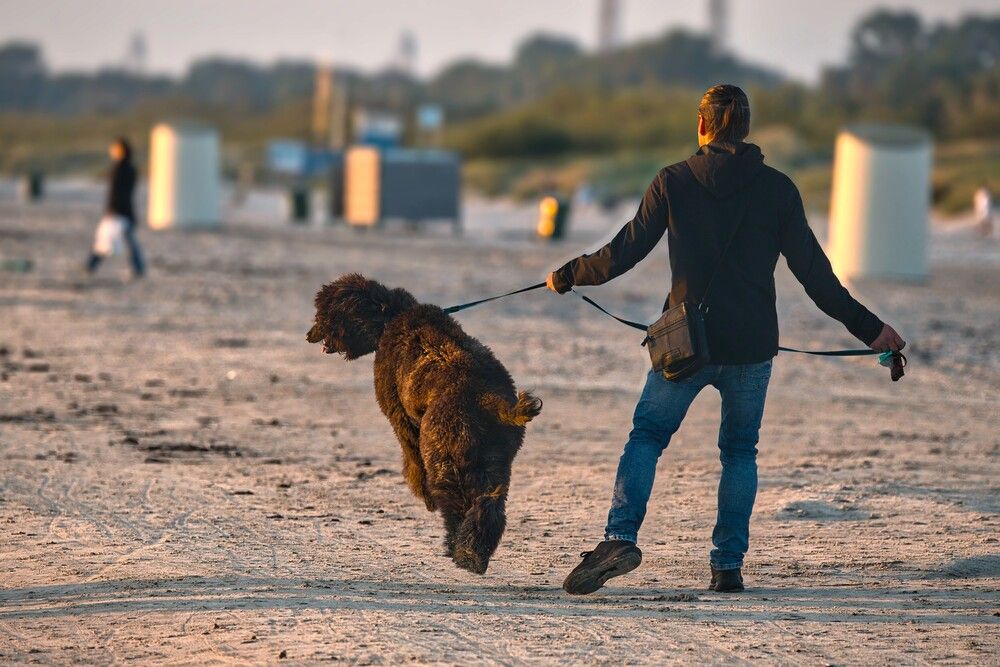 Photograph by Janis Serdienis