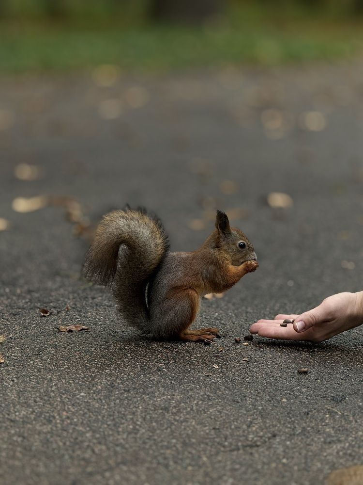 Photograph by Надежда Смекаева
