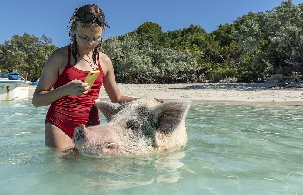 Unexpected Companion