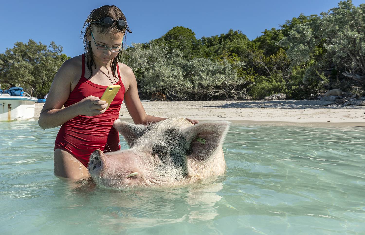 Unexpected Companion