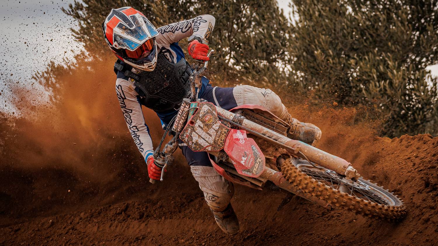 Фотография #13252776