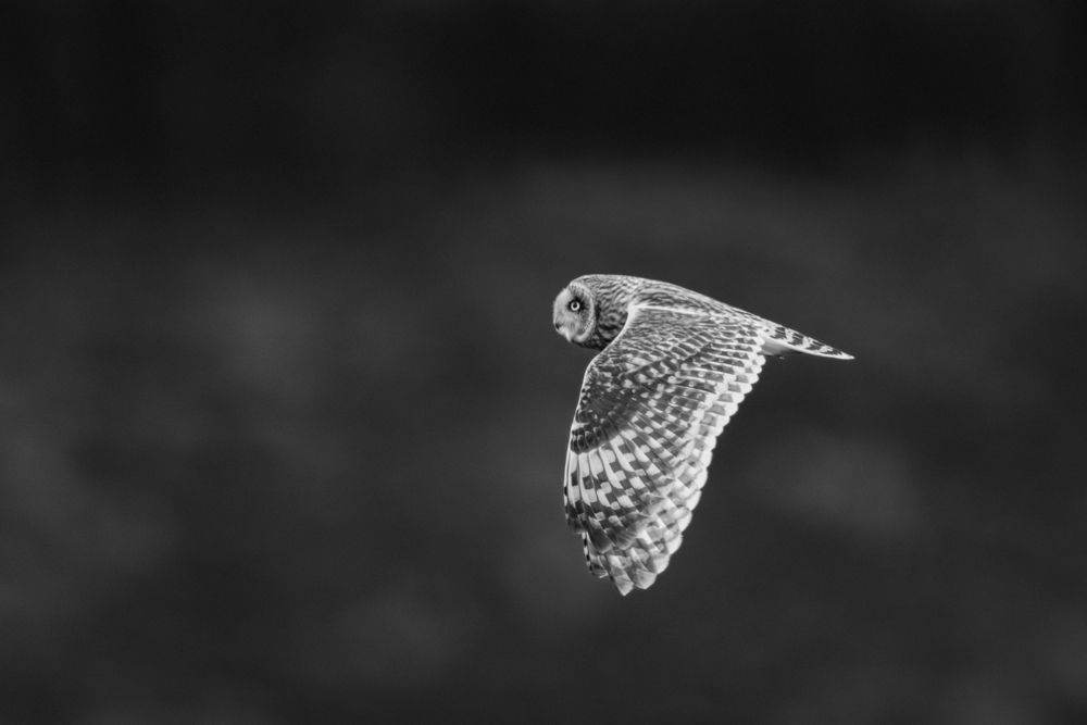 Photograph by Nathalie