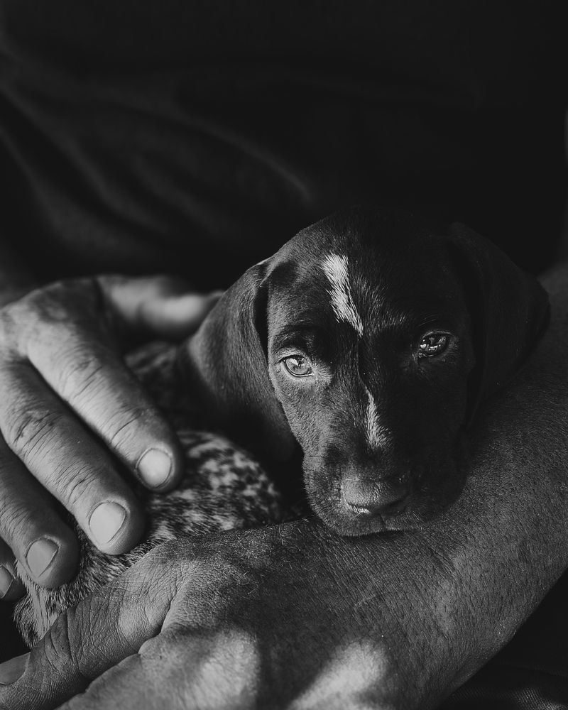 Photograph by Alexandra Sergeeva