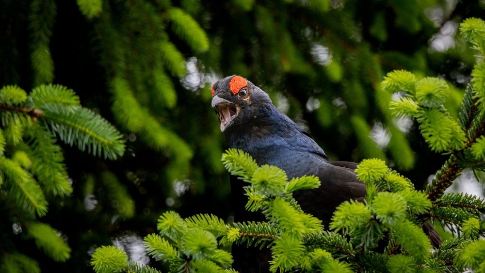 Photograph by Nathalie