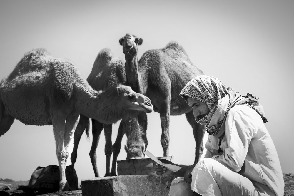 Photograph by Mohammad Mohammad alkaabi