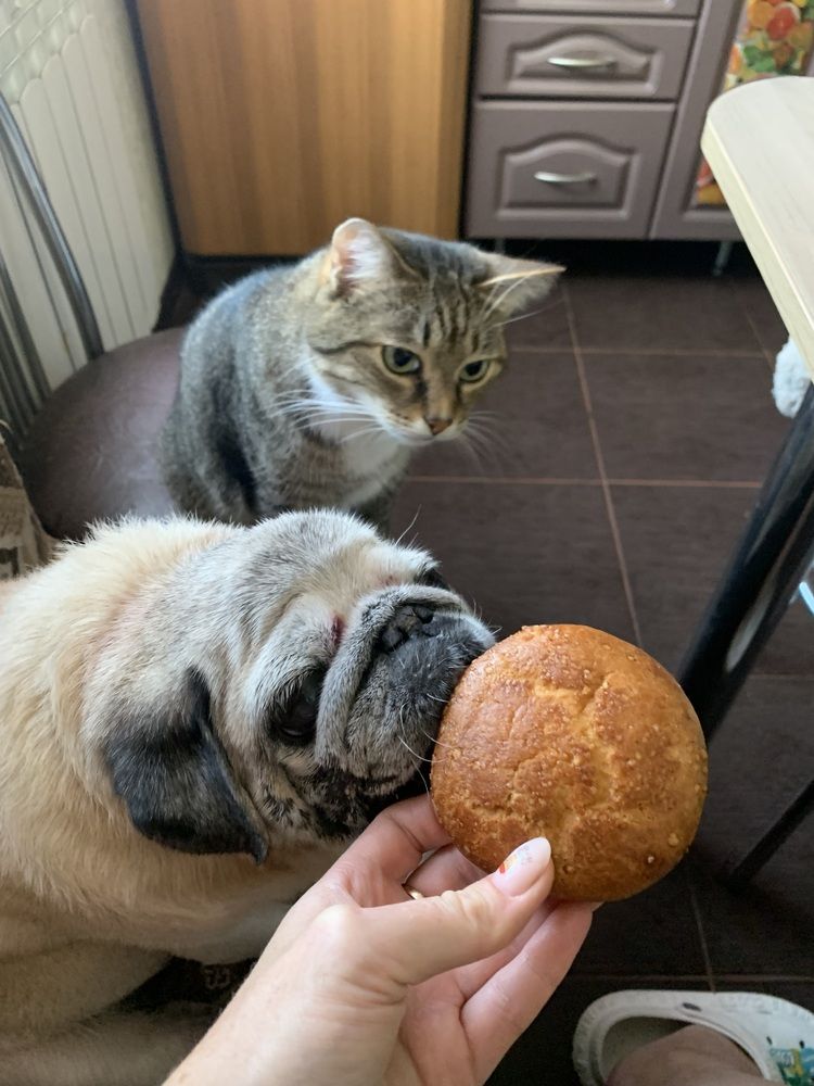 Photograph by Елена Зленко