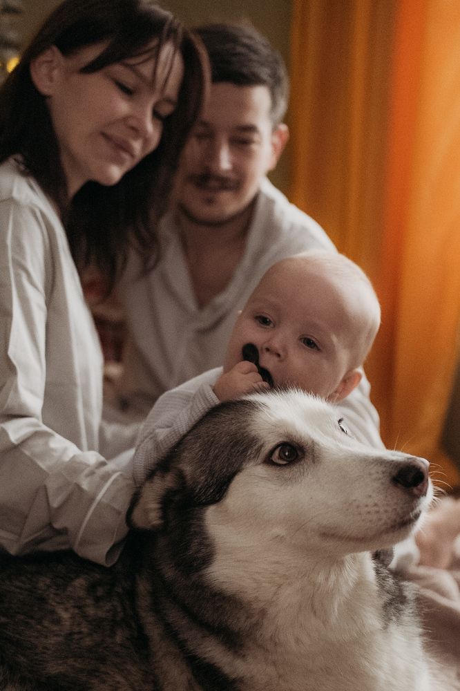Photograph by Ксения Бабан-Луценко
