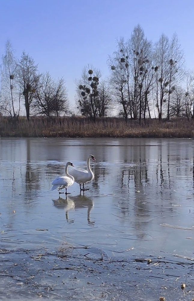 Photograph by Татьяна