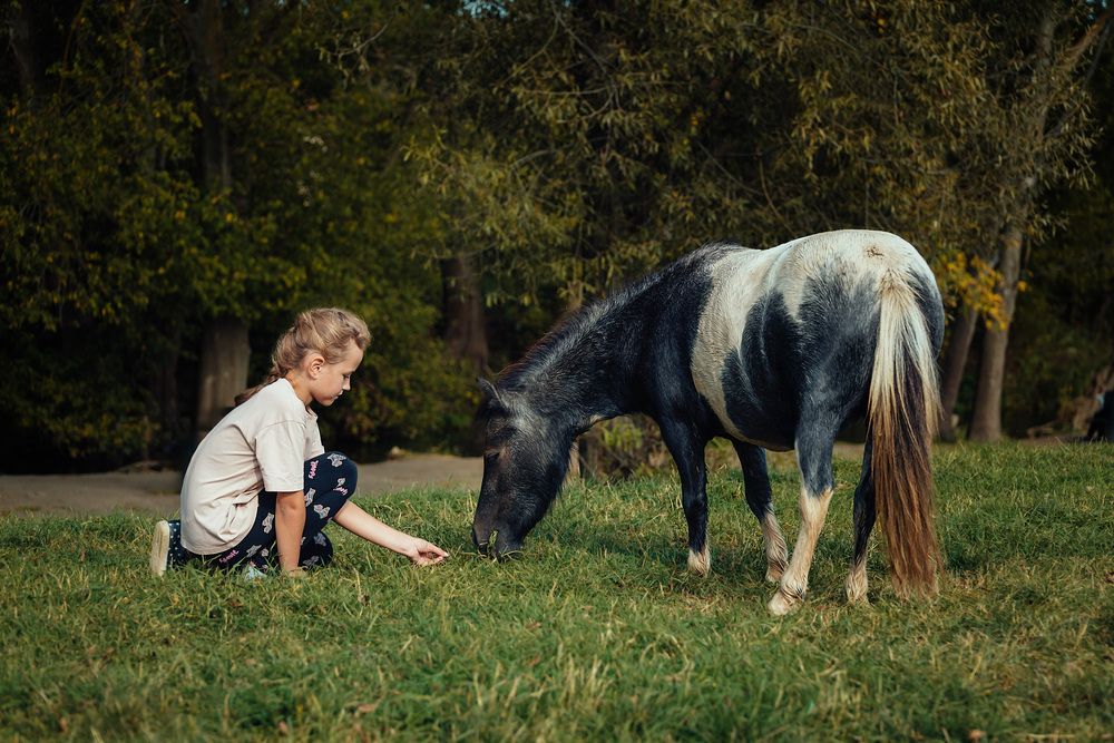 Photograph by Сапронова Марина