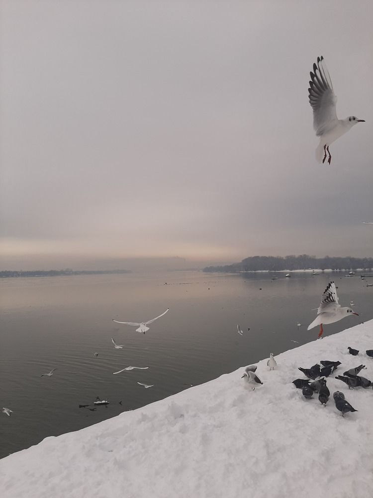 Photograph by amalija radović