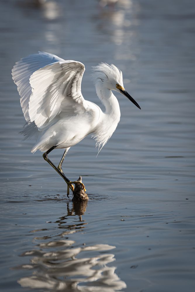 Фотография автора Claudia Luna
