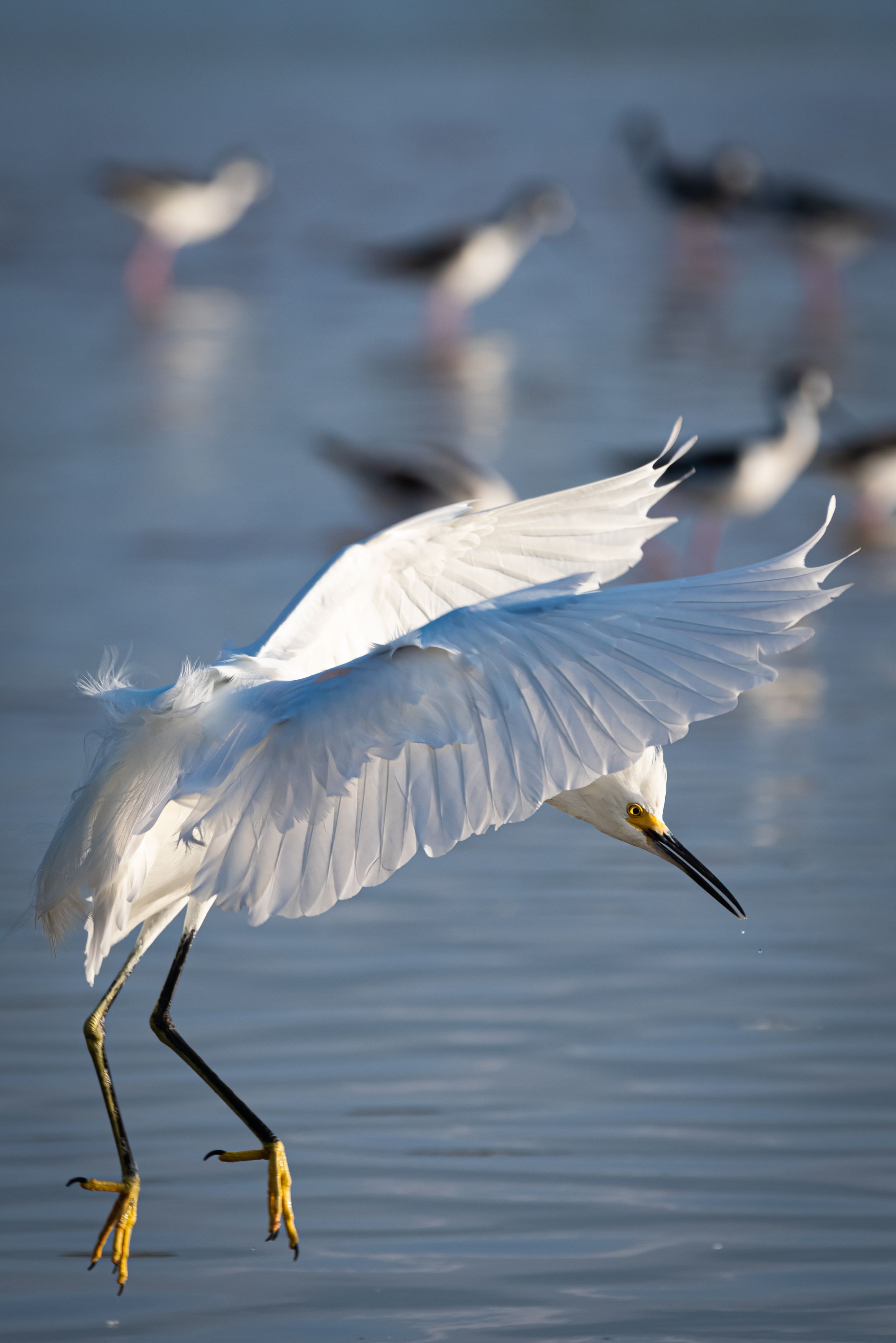 Фотография автора Claudia Luna