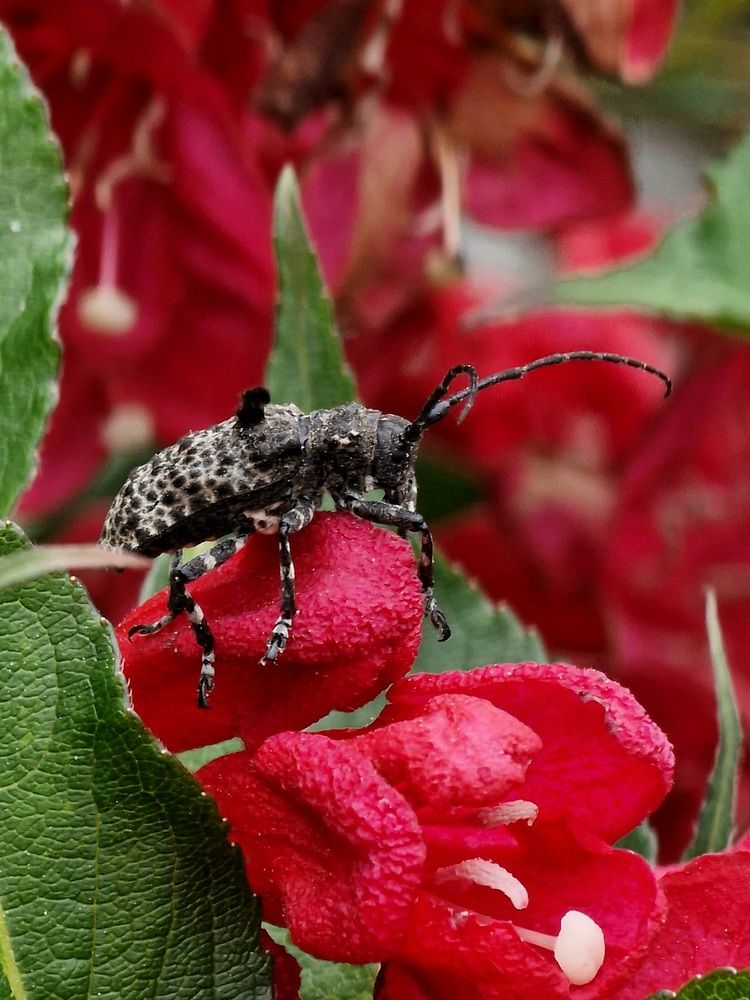 Photograph by Мария Стремина