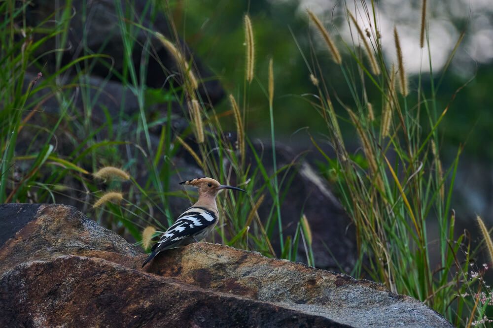 Photograph by Дмитрий Солодухин
