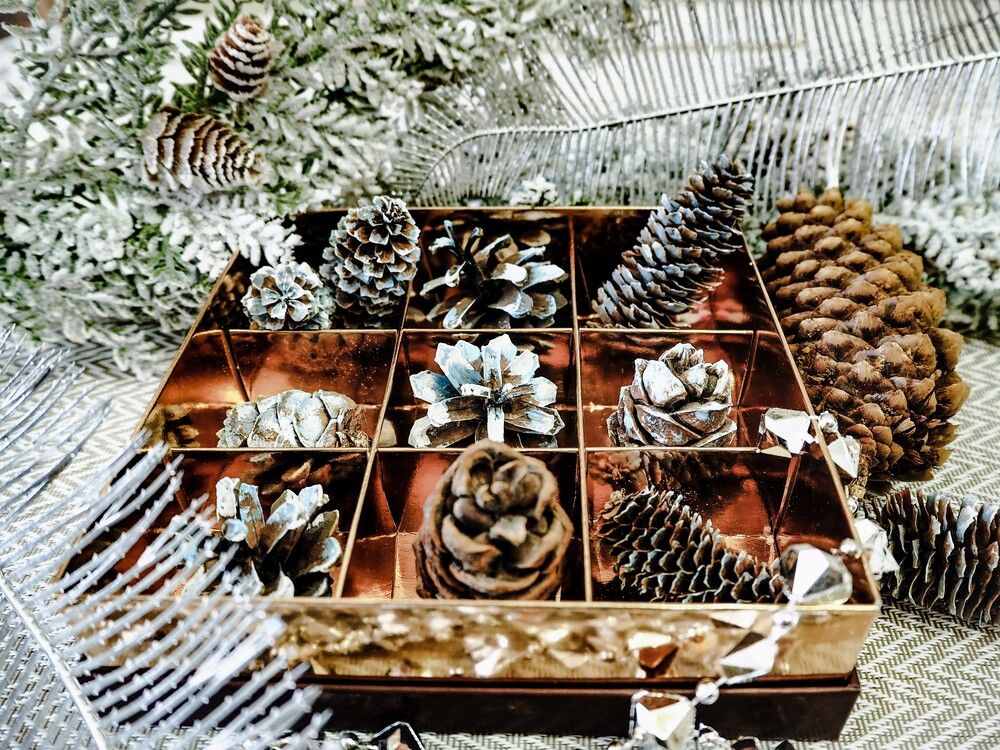 Photograph by Olena Vorotyntseva