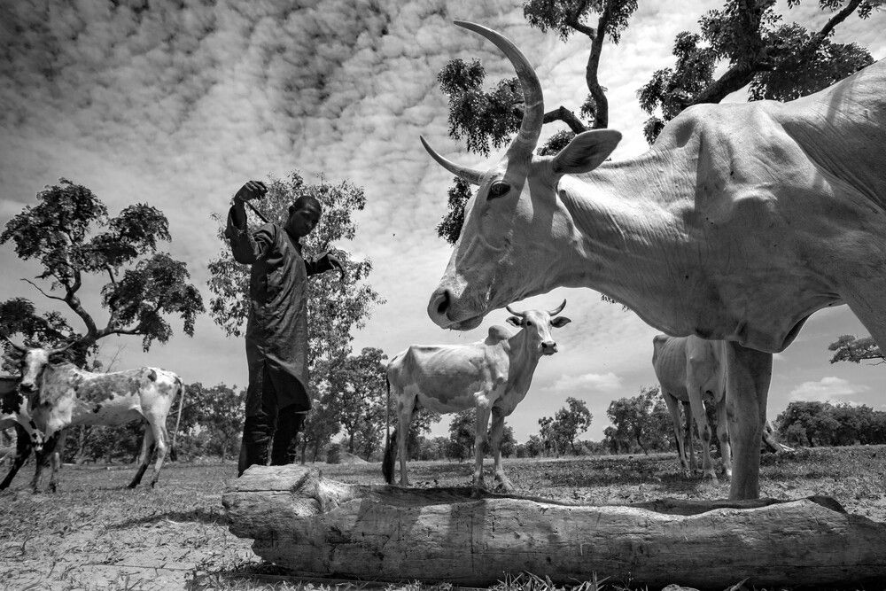 Photograph by Evans Ahorsu