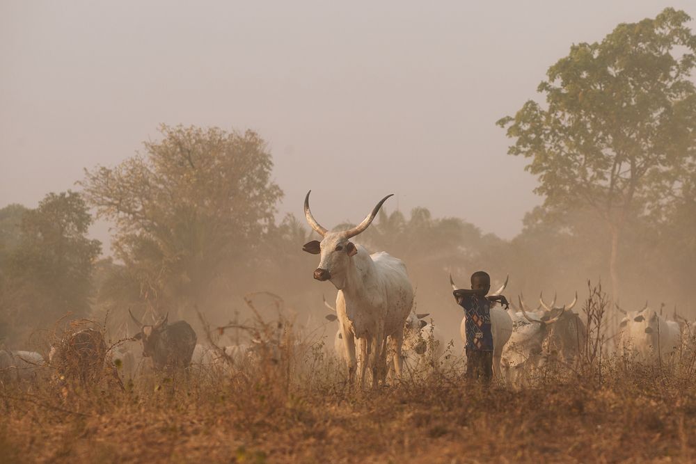 Photograph by Evans Ahorsu