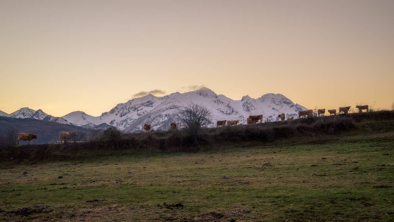 Фотография #13253059