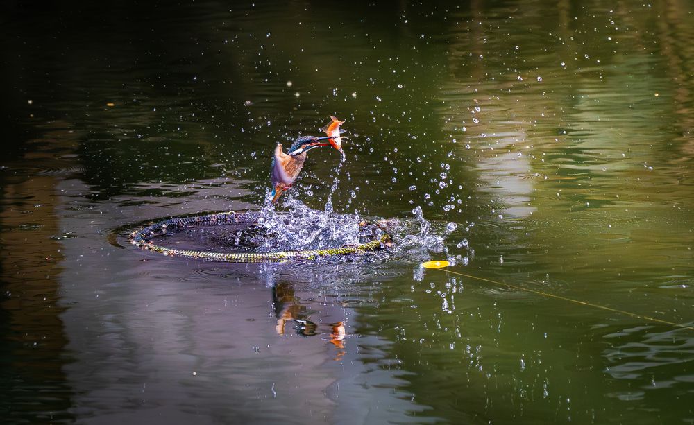 Photograph by Tran Phuong