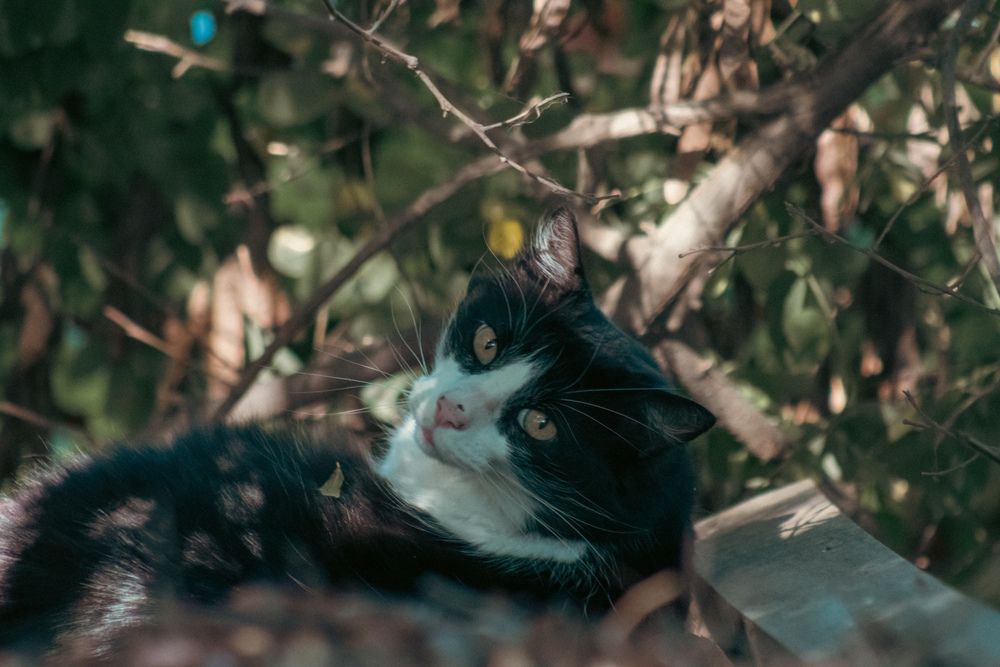 Photograph by Matias Tapia