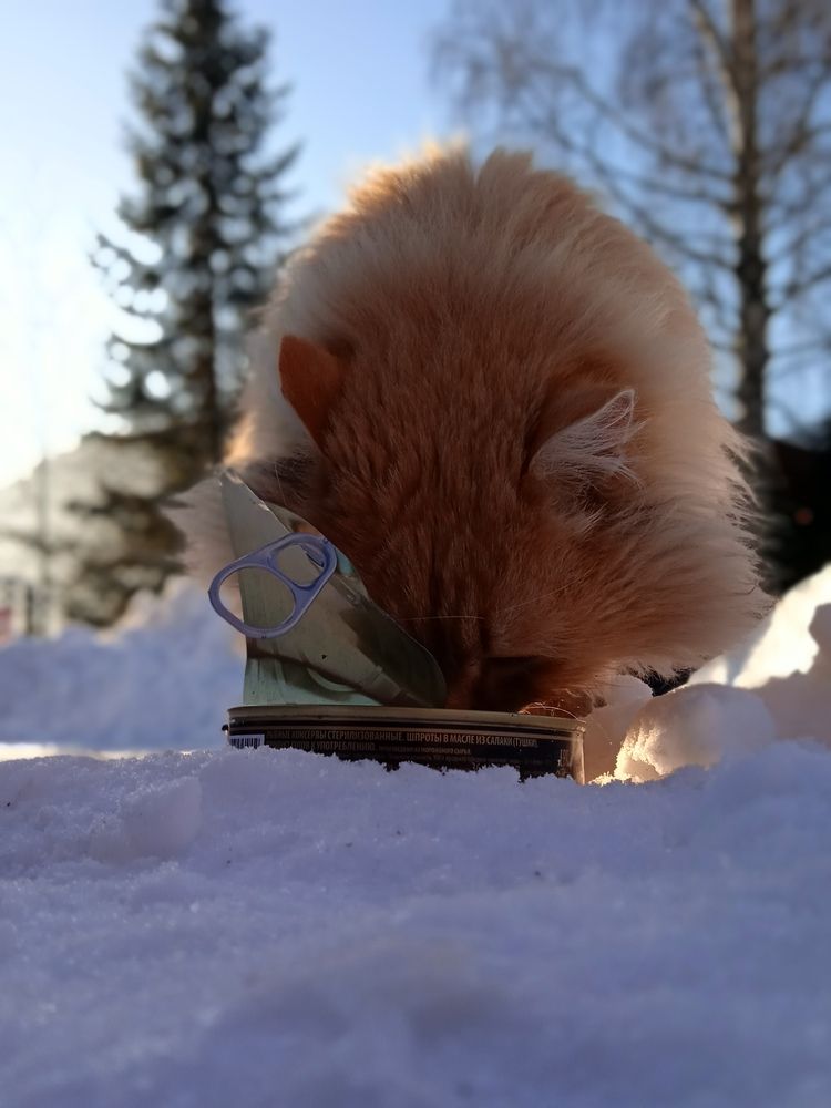 Photograph by Наталья Сорокина