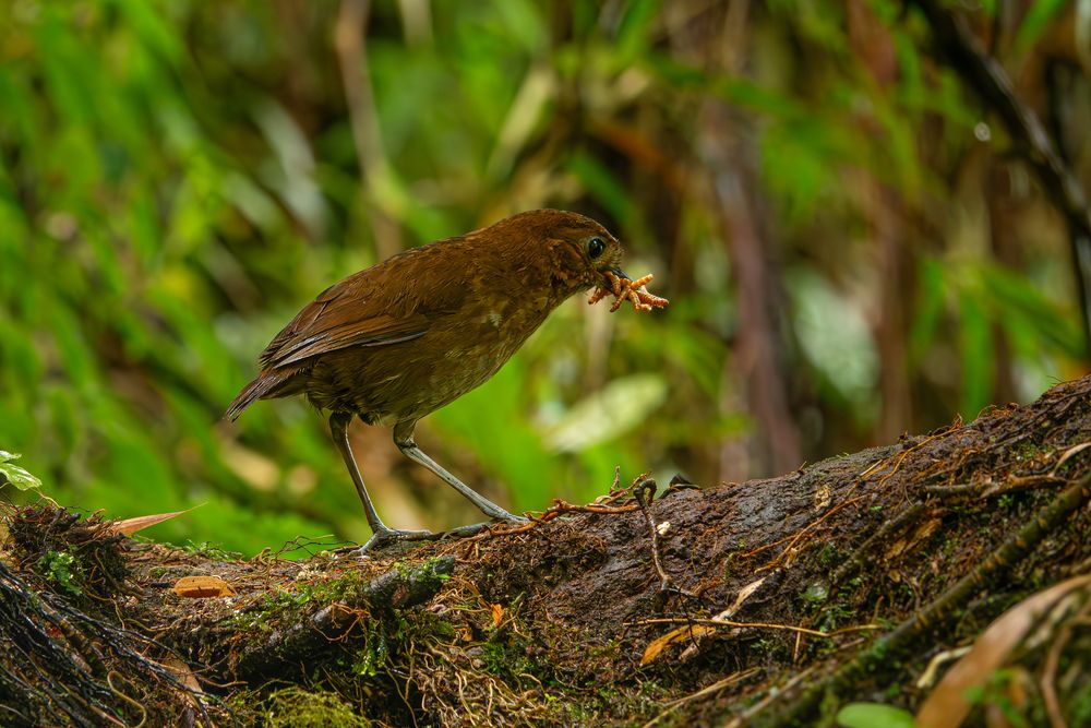 Photograph by Adalberto Quiroga Villada