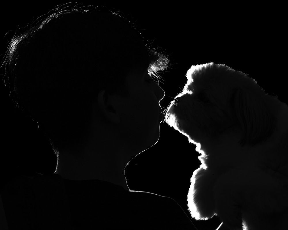 Фотография автора Cristiane Terrazzan