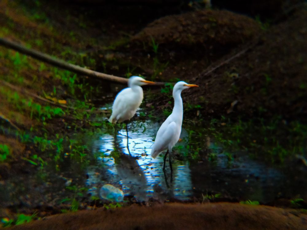 Photograph by SHRIYAKSHI