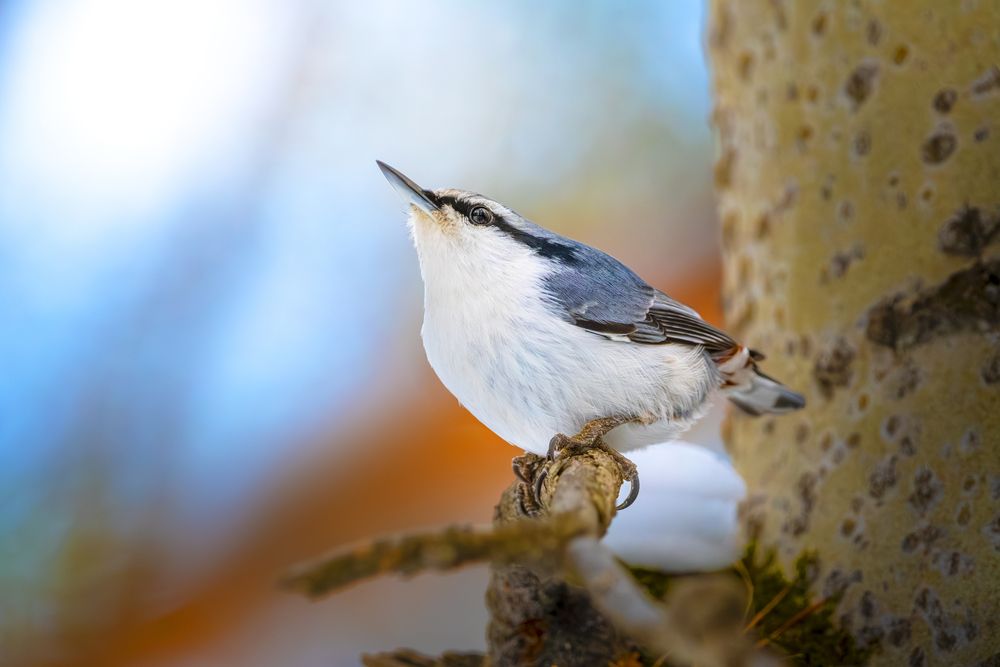 Photograph by Алексей Трубин