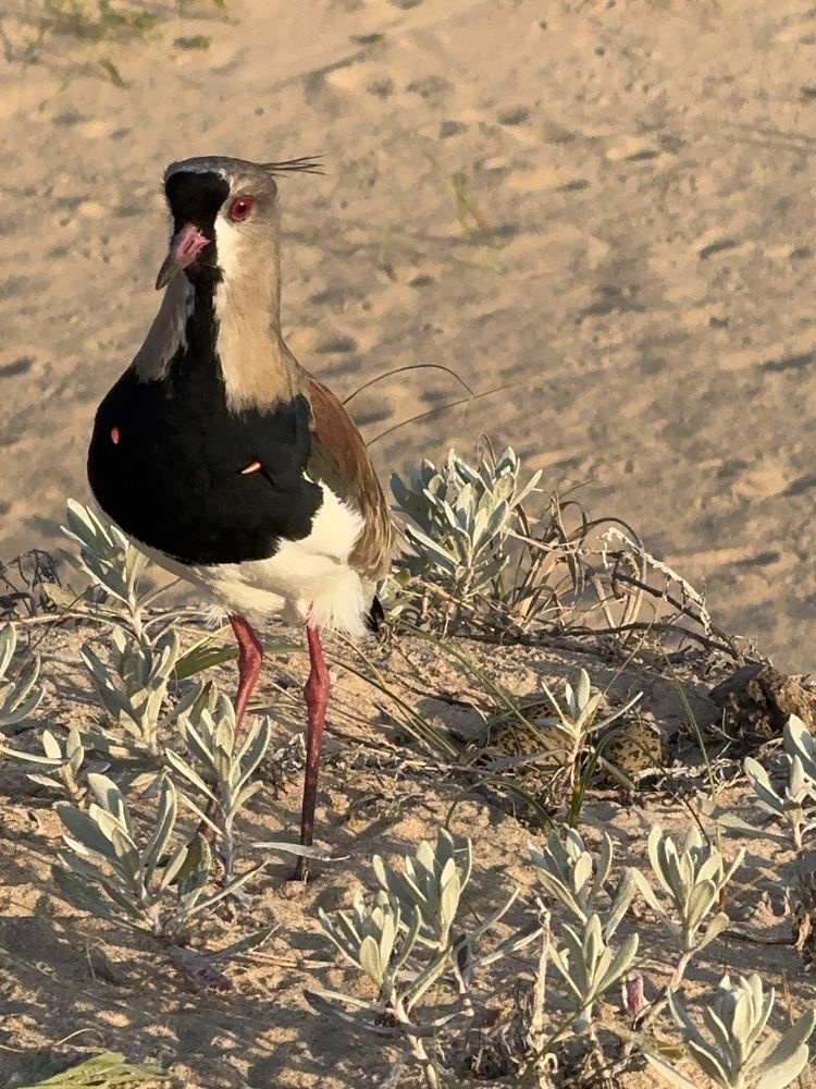 Photograph by Leonor Hernandez